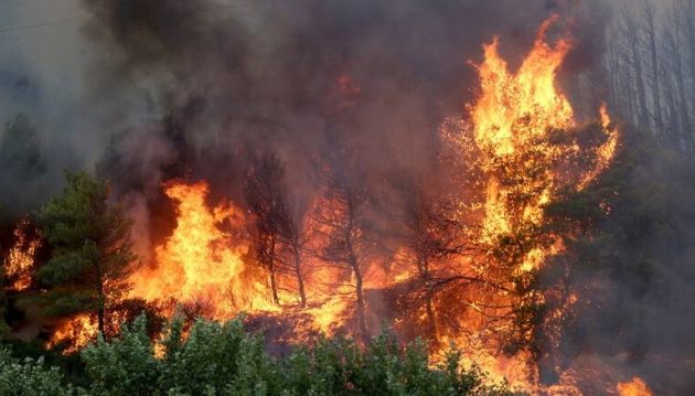 Χωρίς ηλεκτροδότηση το Κρυονέρι λόγω της φωτιάς