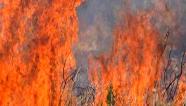 Πυρκαγιές σε Ηλεία και Κορινθία