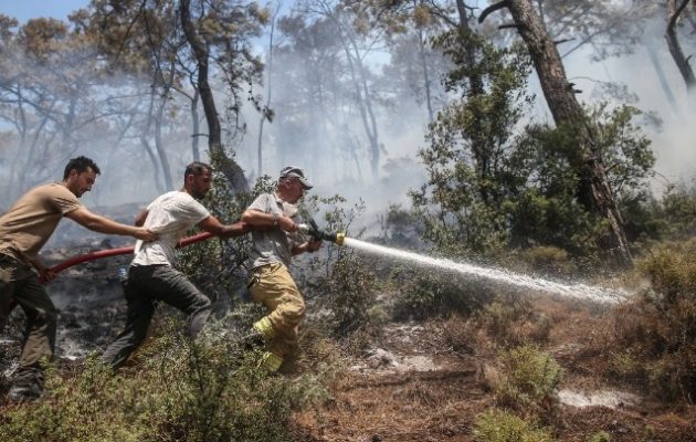 Καίγεται παρθένο δάσος στην Πάρνηθα – Η φωτιά μπήκε στον Εθνικό Δρυμό