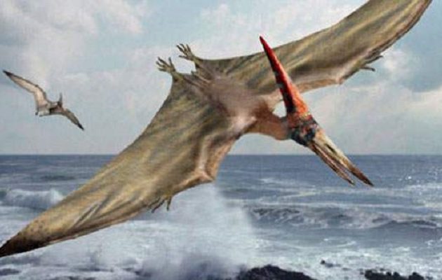 Χιλή: Τα απολιθωμένα λείψανα «ιπτάμενου δράκου» ανακαλύφθηκαν στην έρημο Ατακάμα