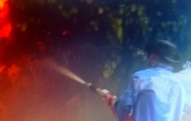 Ο κατηγορούμενος «εμπρηστής» του Κρυονερίου έσβηνε φωτιές στη Βαρυπόμπη – Ανατρεπτικές μαρτυρίες