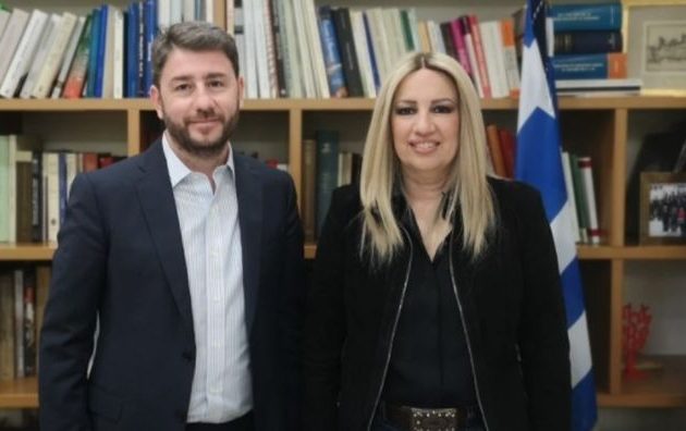 Νίκος Ανδρουλάκης για Φώφη Γεννηματά: «Είναι μια ημέρα ανείπωτης θλίψης»