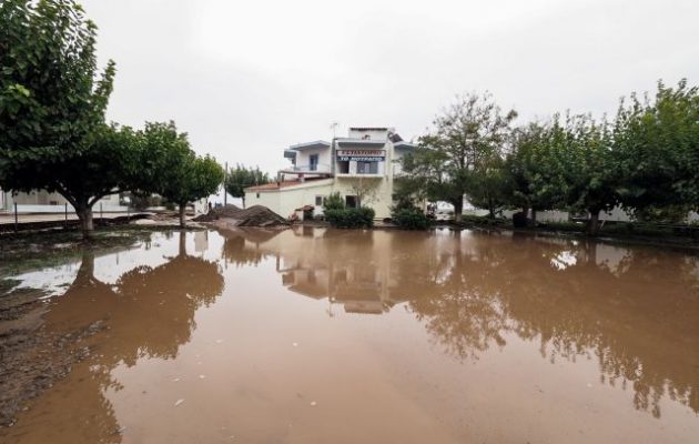 Η κακοκαιρία «χτυπά» τη Νότια Εύβοια: Πλημμύρισαν σπίτια και δρόμοι