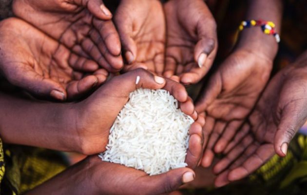 811 εκατομμύρια άνθρωποι στην οικουμένη πεινάνε