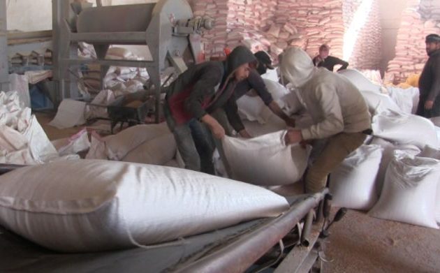 Οι Αμερικανοί στέλνουν 3.000 τόνους σπόρους σίτου στη βορειοανατολική Συρία