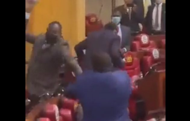 Κένυα: Μπουνιές μεταξύ βουλευτών μέσα στο Κοινοβούλιο (βίντεο)