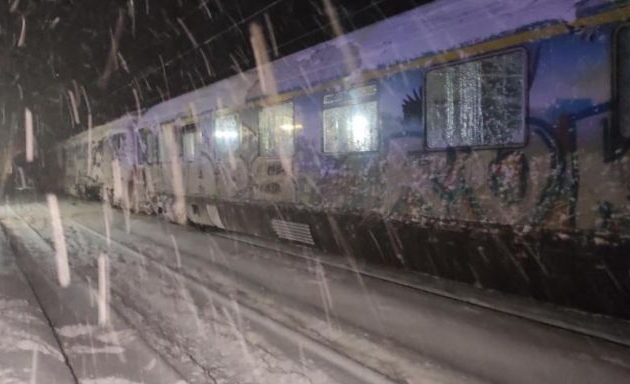 Αυτεπάγγελτη έρευνα για την ακινητοποίηση αμαξοστοιχιών της ΤΡΑΙΝΟΣΕ