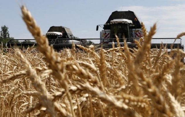 Ουκρανία: Οι κατοχικές Αρχές στη Ζαπορίζια θα πουλήσουν ουκρανικό σιτάρι στη Μέση Ανατολή