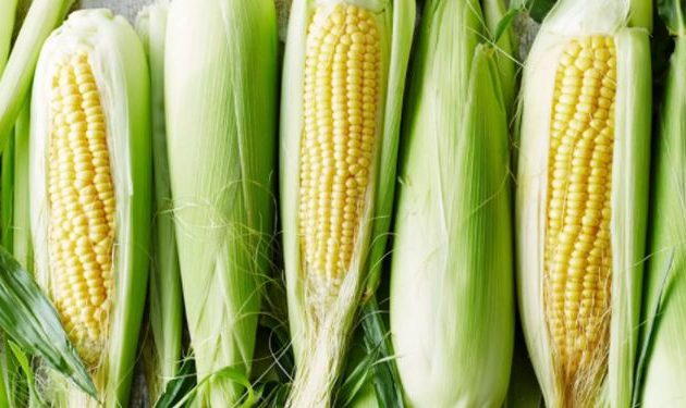 Ουκρανικό καλαμπόκι εξήχθη προς την Ευρώπη σιδηροδρομικά