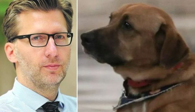 Δεν είναι πλάκα: Ο σκύλος του Μητσοτάκη δάγκωσε τον Σκέρτσο