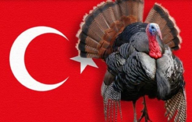 Η Τουρκία ζητά να αλλάξει διεθνώς το όνομα της από «Turkey» σε «Türkiye» επειδή σημαίνει γαλοπούλα