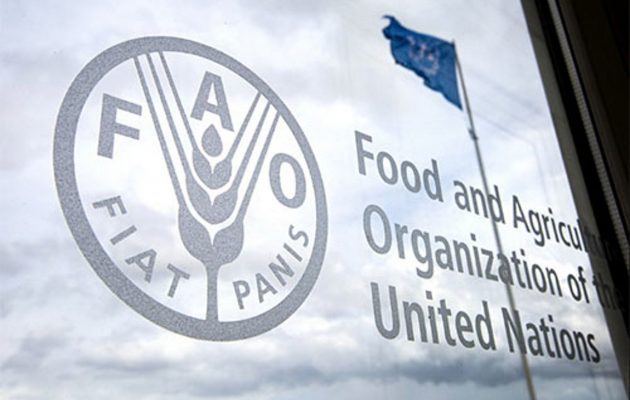 FAO: Οι φτωχοί θα πληρώσουν περισσότερα για λιγότερα τρόφιμα
