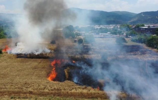 Στην Τουρκία καίγονται σταροχώραφα ενώ η επισιτιστική κρίση πλησιάζει επικίνδυνα