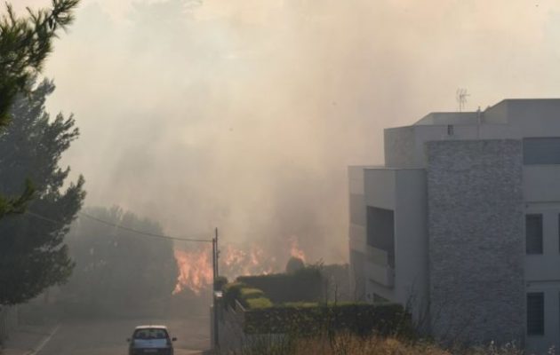 Ματίνα Παγώνη: «Οι τοξικές ουσίες από τον καπνό δημιουργούν σοβαρά προβλήματα»