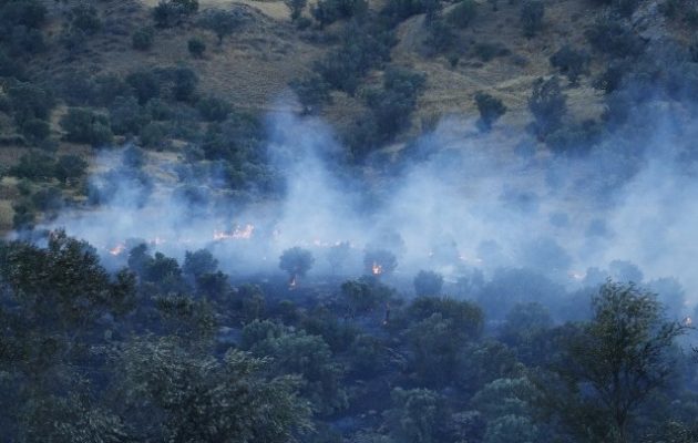 Ρέθυμνο: Αναζοπύρωση της πυρκαγιάς – Εκκενώθηκε οικισμός με πολυτελείς κατοικίες