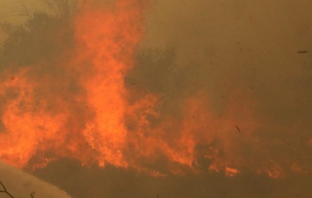 Πυρκαγιά στα Κρέστενα: Οι φλόγες στις αυλές των σπιτιών – Απειλείται και το χωριό Γρύλλος