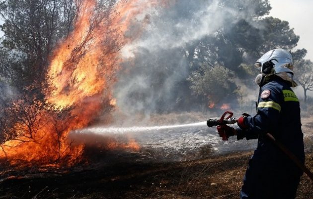 Μαίνεται η φωτιά στη Λέσβο – Kαμένα σπίτια και επιχειρήσεις στα Βατερά – Τρία μέτωπα