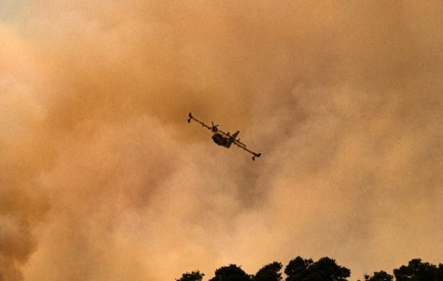 Πυρκαγιά στη Δαδιά: Εφιαλτική η νύχτα – Συνεχίζεται η επιχείρηση κατάσβεσης στο Εθνικό Πάρκο