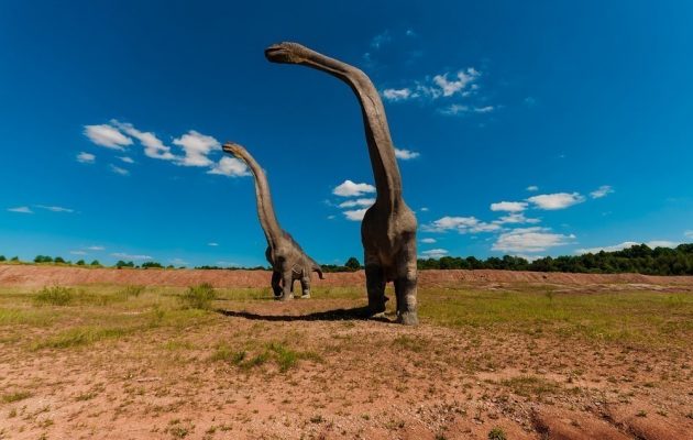 Πορτογαλία: Ο μεγαλύτερος δεινόσαυρος στην Ευρώπη βρέθηκε σε αυλή σπιτιού στο Πομπάλ