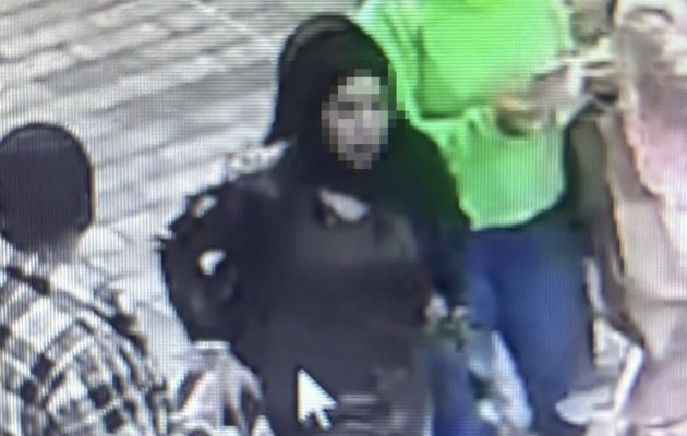 Κωνσταντινούπολη: Γυναίκα βομβίστρια αυτοκτονίας ευθύνεται για την πολύνεκρη έκρηξη, λέει ο Φουάτ Οκτάι