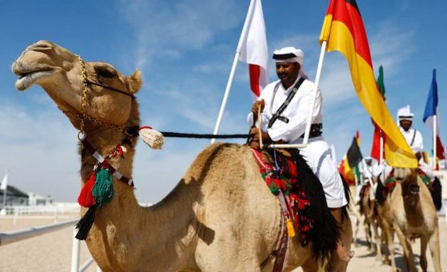 Παγκόσμια επιφυλακή για τη «γρίπη της καμήλας» από το Μουντιάλ του Κατάρ