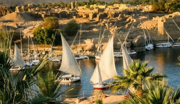 Η Αίγυπτος φυτεύει 100 εκατ. δέντρα