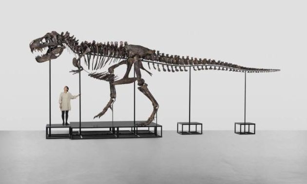 Ελβετία: Ένας Τυραννόσαυρος Ρεξ δημοπρατείται στις 18 Απριλίου