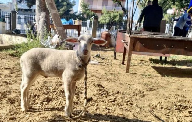 Κερατσίνι: Χριστιανοί μαζεύτηκαν σε εκκλησία να θυσιάσουν αρνί