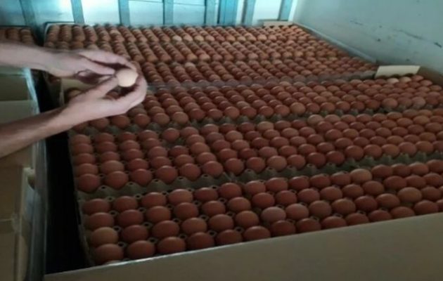 Το ΣΔΟΕ «έπιασε» φορτηγό με 302.400 αυγά Βουλγαρίας για το Πάσχα