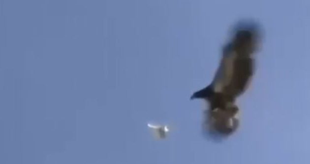 Ρώσος βουλευτής πρότεινε τη δημιουργία μίας «μοίρας αετών» για να αναχαιτίζουν ντρόουν