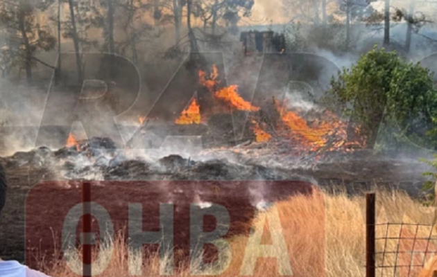Θήβα: Μεγάλη πυρκαγιά απειλεί σπίτια