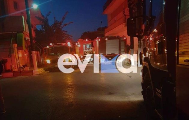 Μεγάλη φωτιά στην Εύβοια: Καίγεται δασική έκταση στο δήμο Κύμης-Αλιβερίου