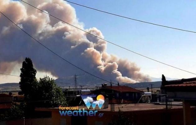 Ανεξέλεγκτη φωτιά στο πευκοδάσος του Κιθαιρώνα στα Δερβενοχώρια