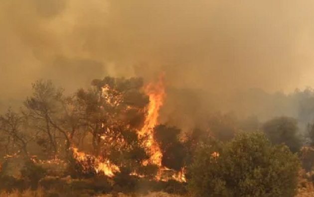 Ολονύχτια μάχη με τις φλόγες δίνουν οι πυροσβέστες στο Σοφό Ασπροπύργου