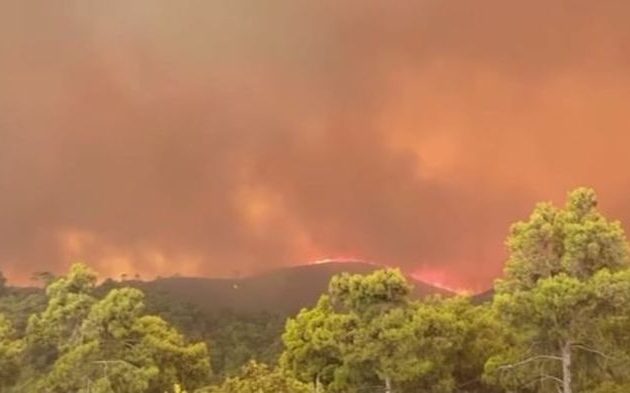 Πύρινα μέτωπα σε Ρόδο, Κάρυστο, Δερβενάκι Αχαΐας, Θήβα και Βόλο