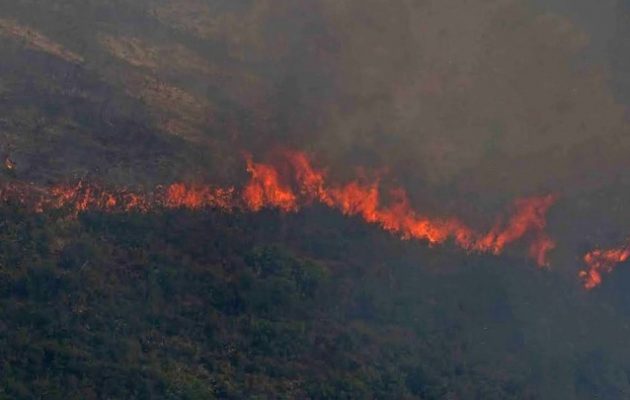 Συναγερμός για τις απανωτές  φωτιές σε όλη τη χώρα – Έκτακτη σύσκεψη υπό τον Κικίλια