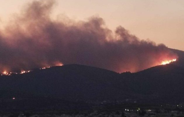 Καίγεται η Ελλάδα: Ανεξέλεγκτα τα μέτωπα σε Φυλή, Ασπρόπυργο, Δαδιά, Αλεξανδρούπολη – 20 νεκροί