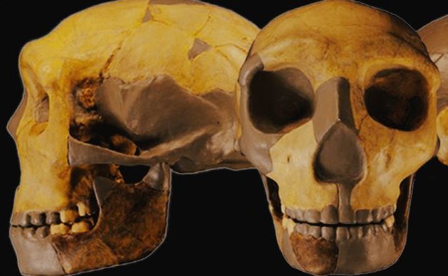 Κίνα: Ανακαλύφθηκε άγνωστο ανθρώπινο είδος