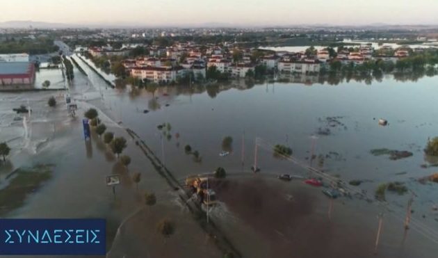 Υγειονομική βόμβα τα νεκρά ζώα και τα στάσιμα νερά στη Θεσσαλία – Τεράστια καταστροφή σε γεωργία και κτηνοτροφία
