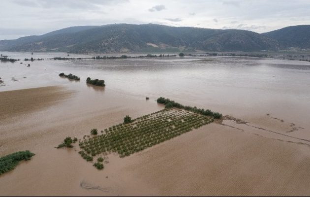 Απίστευτη υποκρισία: Η κυβέρνηση σταματάει τους πλειστηριασμούς στις πλημμυρισμένες περιοχές της Θεσσαλίας