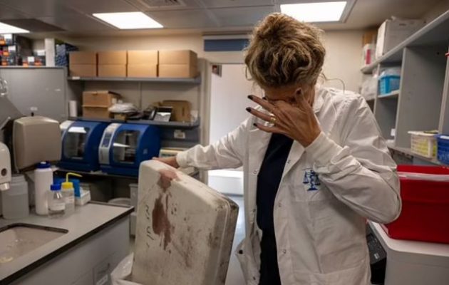 Ιατροδικαστές Ισραήλ: «Οι άνθρωποι κακοποιήθηκαν τόσο βάναυσα από τη Χαμάς που δεν αναγνωρίζονται»