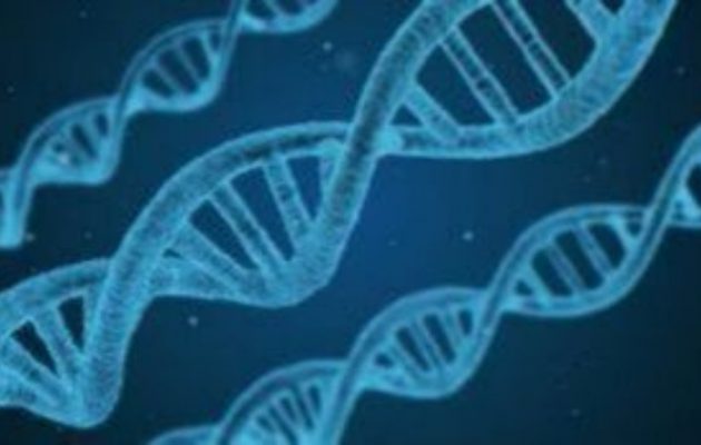 Το αρχαίο DNA αποκαλύπτει το λόγο για τα υψηλά ποσοστά σκλήρυνσης κατά πλάκας στην Ευρώπη