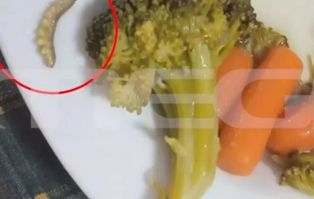 Λαμία – Τροφική δηλητηρίαση μαθητών: Τρίχες, σκουλήκια και πούπουλα στα σχολικά γεύματα