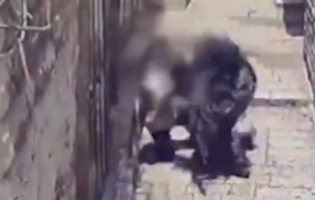 Ο Τούρκος Χασάν Σακλανάν επιτέθηκε με μαχαίρι σε Ισραηλινούς αστυνομικούς στην Ιερουσαλήμ