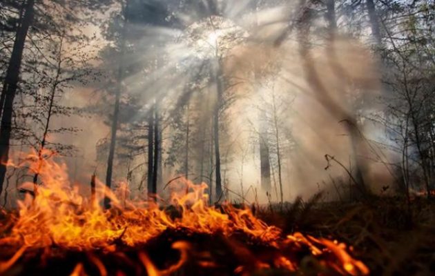 Τις υψηλότερες εκπομπές CO2 της 20ετίας προκάλεσαν οι πυρκαγιές στην Αρκτική