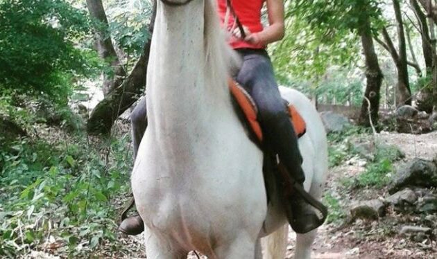 Θεσσαλονίκη: Επτά κοπέλες, μεταξύ των οποίων και ανήλικες, καταγγέλλουν σεξουαλική παρενόχληση από εκπαιδευτή ιππασίας