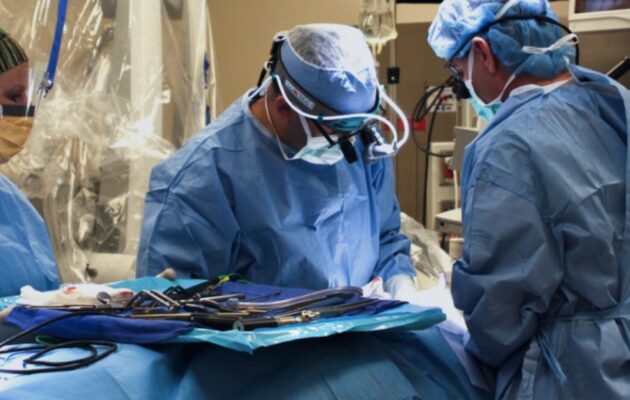 ΗΠΑ: Ξεκινούν κλινικές δοκιμές μεταμόσχευσης νεφρών από χοίρους σε ανθρώπους