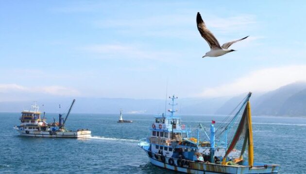Η τουρκική υπεραλίευση είναι οικονομικός ιμπεριαλισμός – ΗΠΑ, Ισραήλ, Ελλάδα και Κύπρος «να βυθίσουν τουρκικά σκάφη που αλιεύουν παράνομα»