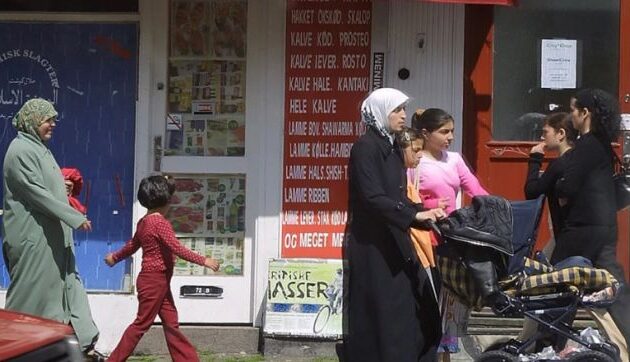 Η Σουηδία ΔΕΝ αντέχει άλλους μετανάστες – Ψάχνει τρόπο να τους διώξει