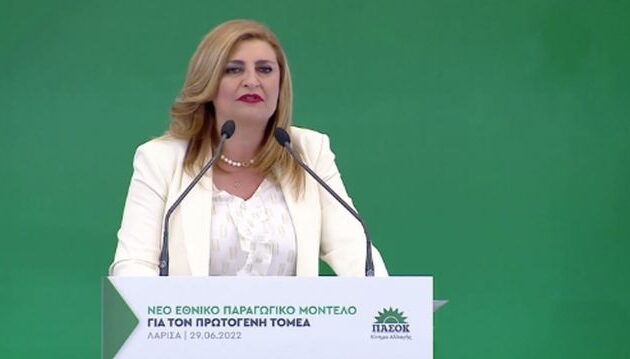 Η Ευαγγελία Λιακούλη του ΠΑΣΟΚ καταγγέλλει σκάνδαλο στο Υπουργείο Δικαιοσύνης